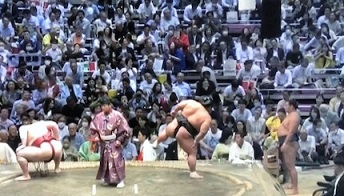 Expert Sumo Analysis and Commentary