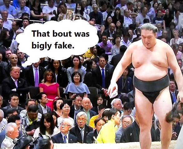 Rehabilitated sumo wrestler repays stablemaster with 1st